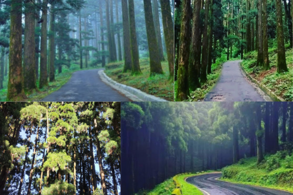 Kurseong-Dudhia